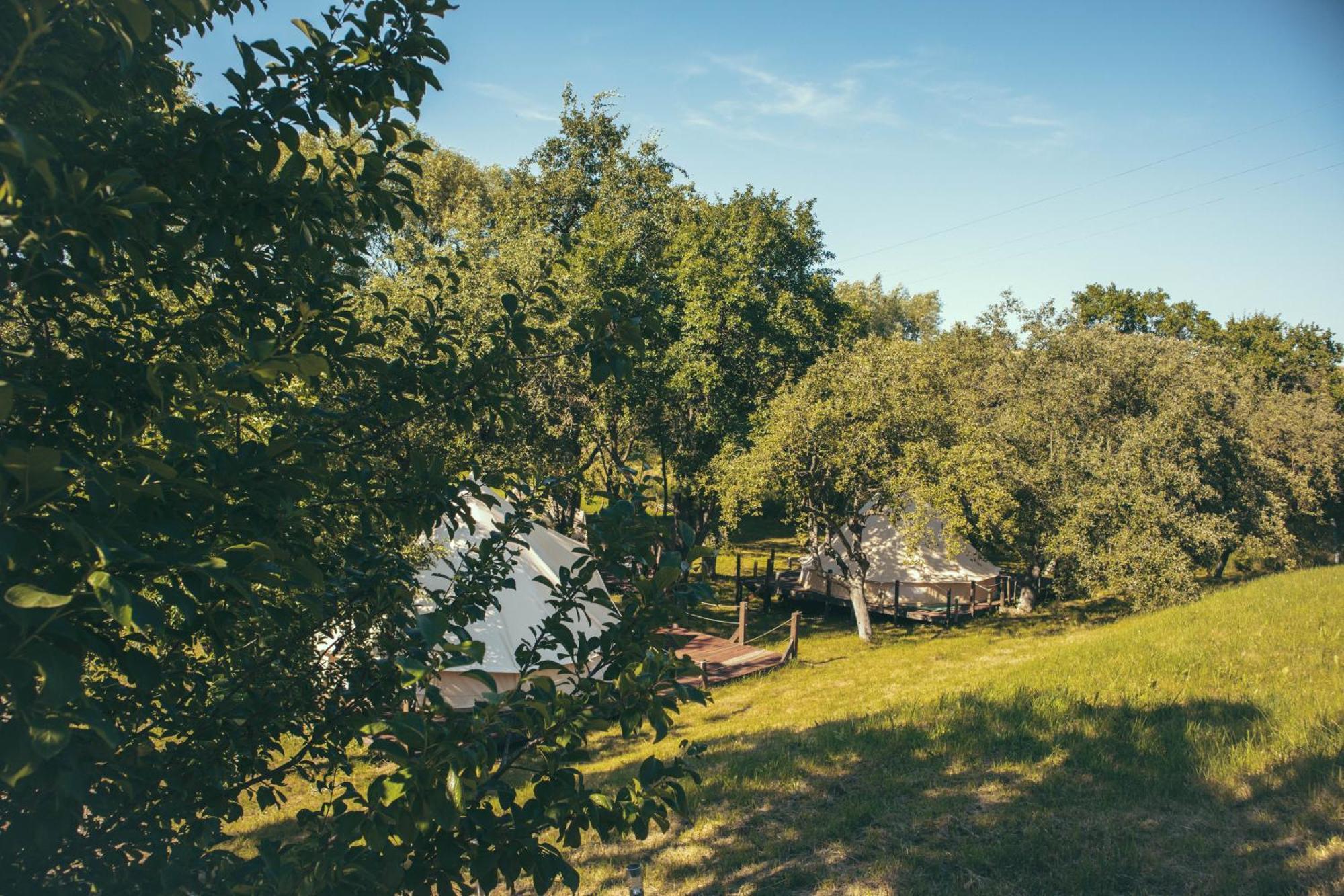 My Lake Glamping Dalnic Exteriér fotografie